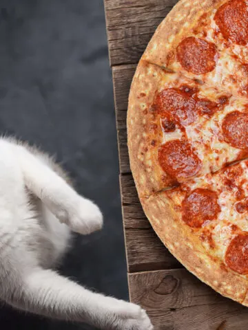 Can Cats Eat Pepperoni? (Find Out Now!)