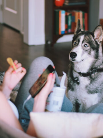 Can Dogs Eat Doritos? (Find Out Now!)