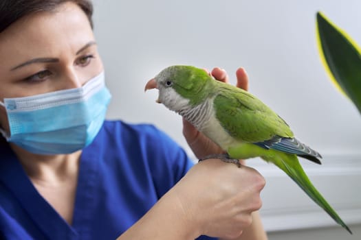 parrot-checkup