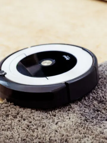Why Do Cats Like Roombas? (You’d Be Surprised!)